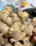 褚系严选【有机小黄姜】云南高山生姜 新鲜现挖 月子老姜 蔬菜调味食材   【有机鲜姜】1000g 实拍图