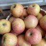 好乐果红富士苹果今年新苹果 嘎啦果脆甜鲜苹果新鲜水果生鲜小苹果年货 5斤优选 晒单实拍图