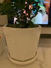 芊堂苑北欧花盆陶瓷黑白色家用室内阳台兰花蝴蝶兰带托盘绿萝君子兰盆景 70010白 特大 实拍图