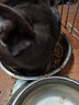 派派狗粮全期牛肉味奶糕粮拉布拉多金毛泰迪博美中小型犬等通用狗粮 成犬15kg 实拍图