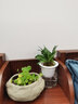 仟尚艺 铜钱草碗莲睡莲水仙花盆陶瓷创意仿石头无孔水培水养专用盆特大号 LWY石头水培花盆-002 实拍图