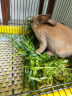 YEE 冻干盛宴全价兔粮2.2kg兔子主粮幼兔成兔营养粮食垂耳兔宠物兔粮 晒单实拍图