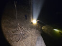 戏煌强光三锂电头灯9999大功率LED灯珠强光充电户外远射夜钓鱼灯矿灯  白光9900W（P50灯珠） 实拍图