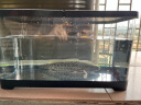阔庭鱼缸桌面透明生态鱼缸客厅水族箱黑色 晒单实拍图