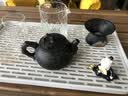陶之印（taozhiyin） 建水紫陶 根艺壶手工制作 彩泥堆雕劲 松枝壶 仿生壶 功夫茶壶 第一代松枝壶 240ml 实拍图