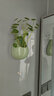 壁挂花盆创意墙上壁挂绿萝水培器皿花瓶水养植物花盆悬挂式插花花 中号水滴(天青色) 实拍图