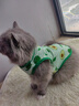 阿莫尔小狗狗猫咪衣服夏季薄款泰迪比熊博美背心宠物小型幼犬透气防掉毛 牛油果（夏季） M 建议5-7斤 背长28cm 实拍图