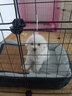 养只宠物（YOUNGER PET）宠物围栏狗狗室内狗笼子中小型犬泰迪柯基隔离门防护栏栅栏狗窝 狗围栏（加粗2*3） 实拍图