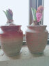 仟尚亿老庄陶瓷花盆高盆法师老桩肉肉创意复古个性室内粗陶多肉植物花盆 GJ流釉多彩老桩组合4个 中等 实拍图