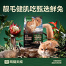 网易严选猫用浓汤红肉罐头 成猫幼猫湿粮猫零食63%肉含量鲜美鱼香 金枪鱼扇贝口味  85克*24罐 实拍图