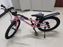 Nabiis那贝斯儿童自行车6-10-12岁超轻铝合金青少年学生单车20寸高配粉 实拍图