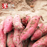 有鲜气海南澄迈特产 正宗海南澄迈桥头富硒地瓜 红薯 粉糯香甜好吃 正版中果5斤单果2-4两 （净重） 实拍图