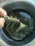 獐子岛干海参 大连底播干货干参非即食高倍泡发底播辽刺参大连礼盒 51-70头 378g*1盒 中头国标干海参 实拍图