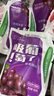 天润（terun） 【新日期】浓缩酸奶饮料新疆牛奶低温浓缩原味乳酸菌酸奶整箱 天润葡萄12袋 实拍图