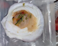 獐子岛 冷冻蒜蓉粉丝扇贝 600g 18只 烧烤食材 生鲜 海鲜水产  实拍图
