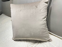 LIVING INC奶油天鹅绒 米白色北欧风抱枕简约客厅沙发靠枕垫床上办公室抱枕 奶茶色 45x45cm(枕套 枕芯) 实拍图