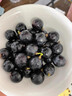 云南夏黑葡萄新鲜2024应当季无籽葡萄黑加仑提子孕妇水果整箱 5斤(单果10g+) 实拍图