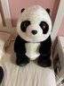 YOUNGDESIGN  仿真大熊猫公仔毛绒玩具熊 抱抱熊猫抱枕玩偶布娃娃 42cm 实拍图