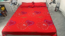 雅鹿磨毛四件套北欧风加厚床单被套单双人2.0米结婚庆大红色套件床品 浪漫一生【亲肤透气，柔软舒适】 1.8m床单款四件套/被套180*220cm 实拍图