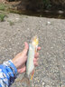 飓利强 路亚饵盒子 箱 便携钓鱼配件盒收纳盒多功能假饵盒铁板 亮片 米诺防水硬饵软饵收纳 防水路亚盒【21.5*16.5*5cm】红扣 实拍图