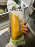 北纬47°（BEIWEI）水果玉米甜玉米220g*10穗  即食玉米棒 低脂低GI杂粮礼盒尔滨特产 实拍图