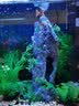 异景园鱼缸仿真假山造景装饰石头布景套餐水族箱大小树脂摆件躲避洞松石 TJ8-观云峰 实拍图