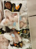 贝司令【鲜活】乳山生蚝海鲜特产贝类牡蛎烧烤4XL净重4斤 8-11只礼盒装 实拍图