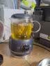 菲森客迷你养生壶一人小型办公室养生杯 煮茶壶0.6升养生烧水壶全玻璃恒温壶花茶壶 妇女节送礼推荐好物 【升级蓝色款】1-2人精致生活 0.6L 实拍图