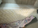 法瑞思S型黄麻天然椰棕床垫子纯硬护脊棕榈垫薄母婴儿童a类乳胶厚可拆洗 【定制尺寸专拍】 1.2米*2米 实拍图
