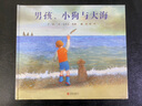 男孩、小狗与大海 绘本大师安东尼·布朗全新力作 鼓励孩子学会观察生活、勇于尝试3-6-9岁（启发 实拍图