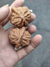 山中玉文玩核桃狮子头四座楼把玩青皮手把件精品麻核桃送父母生日礼物男 【JD物流】原色41-42mm左右 实拍图