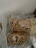 new boundaries新边界杂粮奶酪包400g 营养早餐健康粗粮代餐欧包面包 实拍图