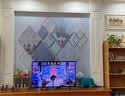 惠菲乐电视背景墙布2025简约新款壁纸立体现代简约客厅壁装饰画影视墙布 无缝环保宣绒布/平方 实拍图