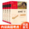 森林报 春夏秋冬 快乐读书吧四年级下册阅读（套装共4册）小学生课外推荐阅读书 写作文必备 附带真题 实拍图