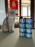 滋益巅峰（ZIWI）猫罐头猫粮185g/罐新西兰进口主食罐全猫成猫幼猫通用湿粮猫罐头 马鲛鱼羊肉猫罐185g 实拍图