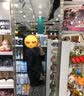 NYJK小西装外套女春秋新款宽松小个子休闲复古气质职业OL装西服小香风 黑色 S 实拍图