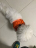 SLPC狗狗胸背带牵引绳小型犬泰迪背心式遛狗绳反光透气小狗背带狗绳子 藏青 M（适合6-9斤） 实拍图