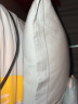 Glen Saxon五星级酒店白鹅绒枕头抗菌防螨睡眠柔软高弹优质羽绒枕芯 高枕 晒单实拍图