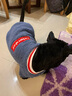 拉维佩特（LOVINGPET）泰迪狗狗衣服冬天 羊羔绒宠物衣服小型犬冬季比熊衣服幼犬猫衣服 蓝灰色 XL 建议15-20斤 实拍图