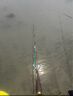 光威鱼竿3.9米无法一本鲫超轻超细鲫鱼竿台钓竿钓鱼竿鱼杆手竿渔具 晒单实拍图
