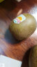 佳沛（zespri）新西兰阳光金奇异果16粒礼盒经典果单果约80-103g水果 猕猴桃 实拍图