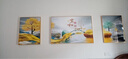 诗六艺家饰客厅装饰画北欧现代简约沙发背景墙挂画三联画大气轻奢壁画晶瓷画 家和富贵A（铝合金外框） 晶瓷画左右60*80+中间120*80亮面 实拍图