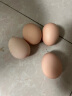 我老家 农家散养土鸡蛋 谷饲喂养 新鲜柴鸡蛋 单枚40±2g 4枚 152g 生鲜 晒单实拍图