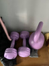 朗威壶铃哑铃女士健身家用器材男士竞技浸塑亚玲球提壶哑铃5-20磅健身 4.5kg =紫10磅+紫色女哑铃2kg一对 实拍图