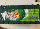 加拿大Canada dry Ginger Ale zero 0糖无糖姜汁干姜生姜水气泡苏打汽水 24罐装(原箱)有糖日期至26年-10月 实拍图