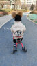 乐卡（Lecoco）儿童三轮车脚踏车小孩车2-6岁童车 瑞奇免充气炫彩轮 丝绒摩卡  实拍图