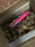 [荔浦发货]南方美农广西特产新鲜马蹄荸荠5斤当季水果蔬菜饽荠中大马蹄 特大果5斤（10-15个/斤） 实拍图