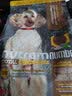 纽顿（Nutram Number）纽顿狗粮T28狗粮(鳟鱼味) 幼犬成犬全犬通用型狗粮 美国原装进口 纽顿T28 1.82kg鳟鱼味-美版 实拍图