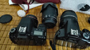 佳能/CANON  80D 60D 70D 77D 50D 90D 半画幅 二手单反相机 佳能77D 单机 99新 实拍图