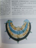 7000年珠宝史 实拍图